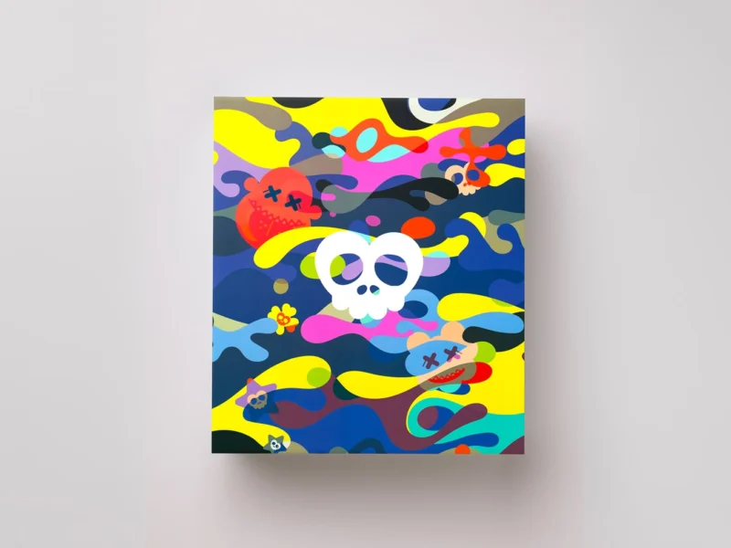 Limited-edition multicolor collector’s box with camo skull design - ilakh